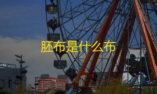 暗区物资挂(免费)胚布是什么布